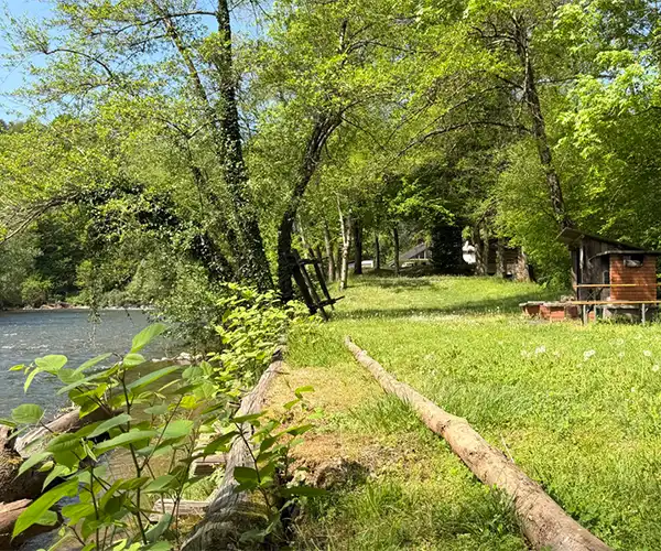 Bild von einer grünen Wiese am Wasser mit Sitzbank und Grillplatz