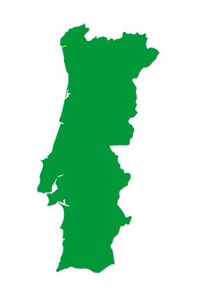 grünes Icon von der Landkarte Portugals